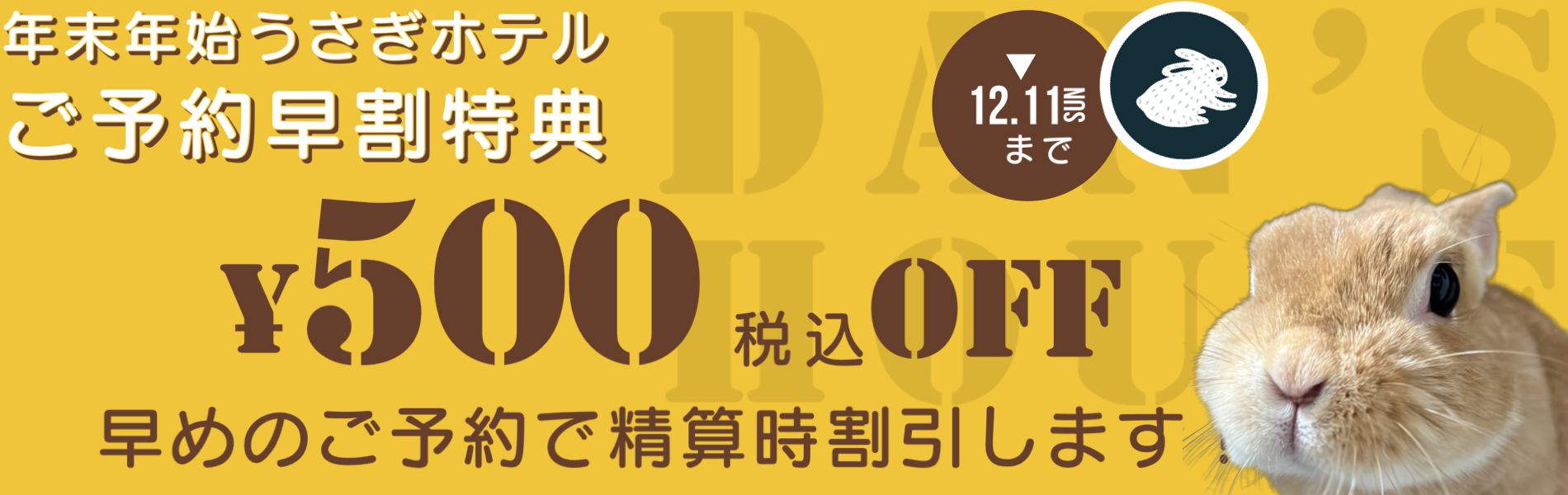 さいたま 東大宮のうさぎ専門店 Dan S House 健康で可愛いうさぎをブリーディング 血統書あり